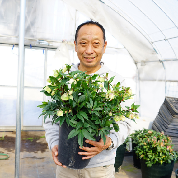 ジョルディカワムラ