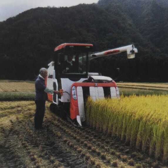 ホリライス(ファーム堀)