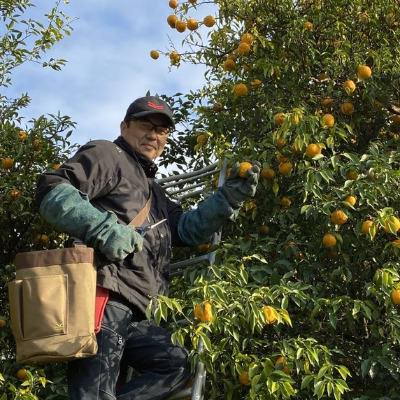 たかはし果樹園