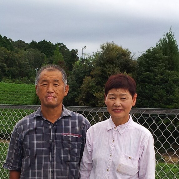 浦野製茶