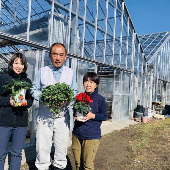 f-plants