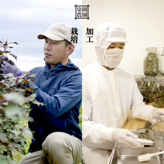 染岡農園