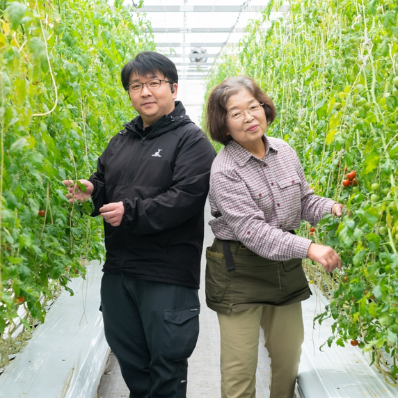井下とまと園