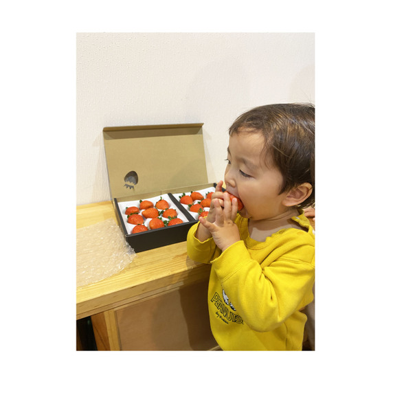 南信州アルプスイチゴ農園