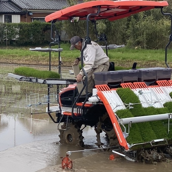 らんとまんふぁーむ