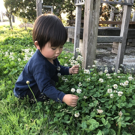 ぽるれっと