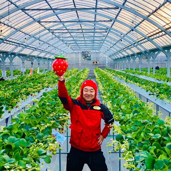 strawberry　farm　まあと工房