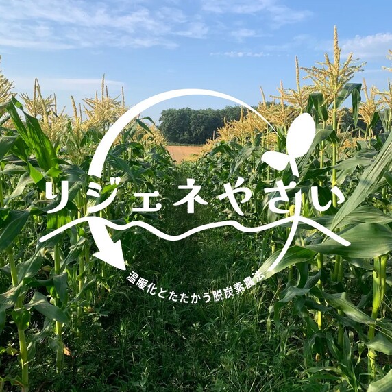 しろくまファーム