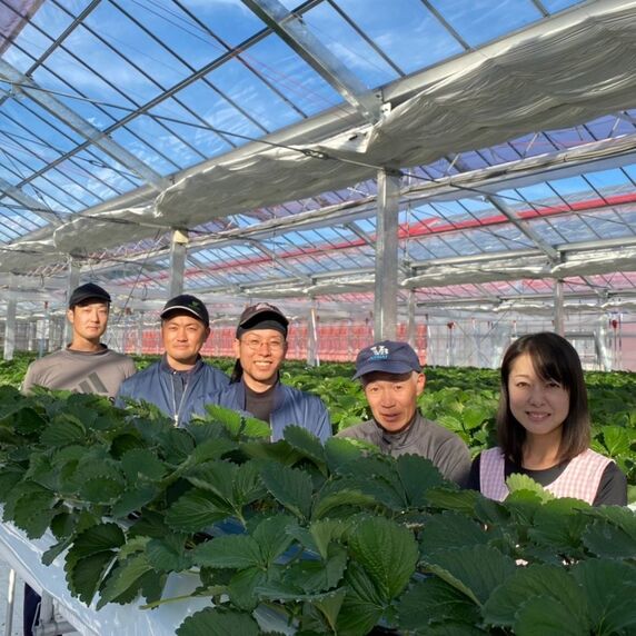 やまも製茶