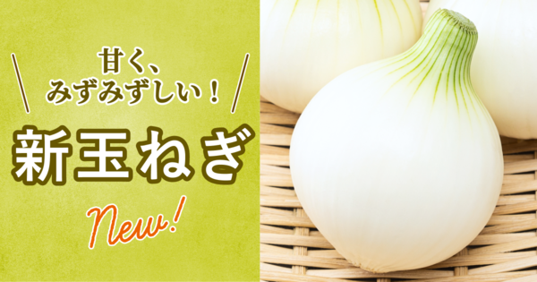 玉ねぎの通販｜野菜｜食べチョク｜産地直送(産直)お取り寄せ通販