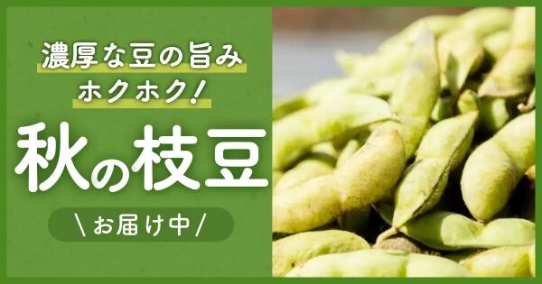 夏風香の通販｜枝豆｜食べチョク｜産地直送(産直)お取り寄せ通販