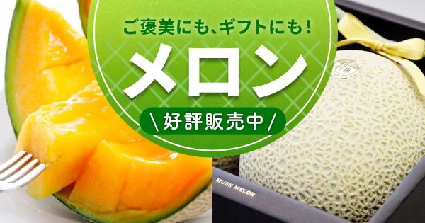 産地直送！アールスメロン❗️6玉入箱込み9キロ前後！2ケース 長崎県産 アールスメロン 秀品 Lサイズ 6玉入り (箱) 国産 フルーツ