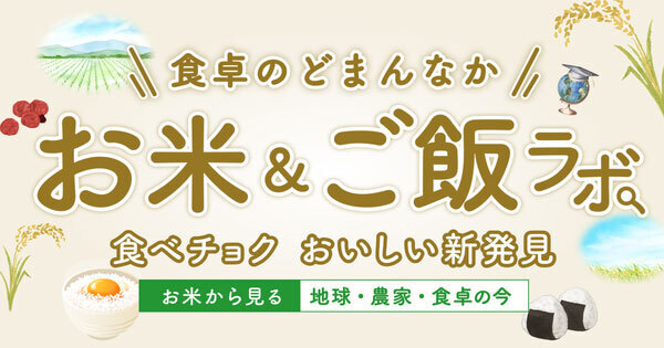 いのちの壱の通販｜お米｜食べチョク｜産地直送(産直)お取り寄せ通販