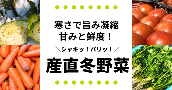 その他にんじんの通販｜にんじん｜食べチョク｜産地直送(産直)お