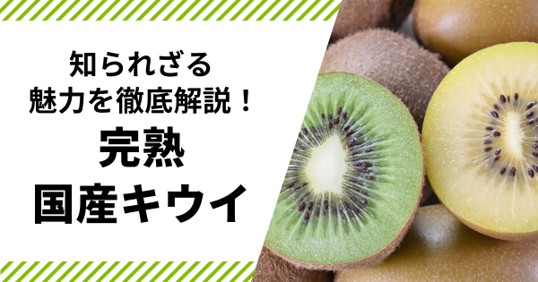 ヘイワードの通販｜キウイフルーツ｜食べチョク｜産地直送(産直)お