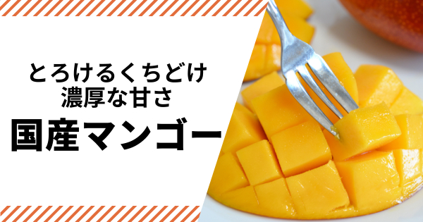 マンゴーの通販｜果物｜食べチョク｜産地直送(産直)お取り寄せ通販