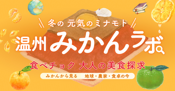 ニュー日南の通販｜みかん｜食べチョク｜産地直送(産直)お