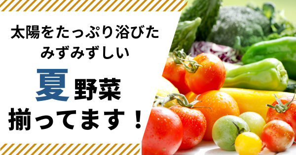 富丸ムーチョの通販｜トマト｜食べチョク｜産地直送(産直)お取り寄せ