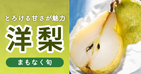 洋梨の通販｜果物｜食べチョク｜産地直送(産直)お取り寄せ通販 - 農家