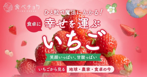 あまりんの通販｜いちご｜食べチョク｜産地直送(産直)お取り寄せ通販