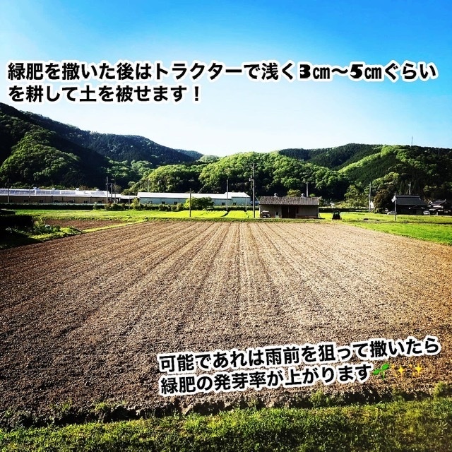 2023/4/23 緑の肥料？緑肥を撒きました！｜食べチョク｜産地直送