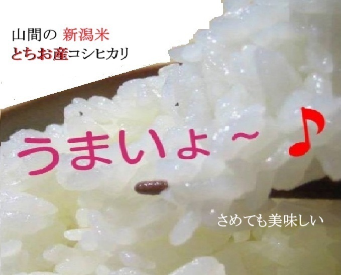 令和8年産、とちお産コシヒカリの新米ができました！」｜食べチョク