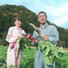 丹波しのたろう農園