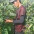 farm base konno