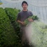 湊農園