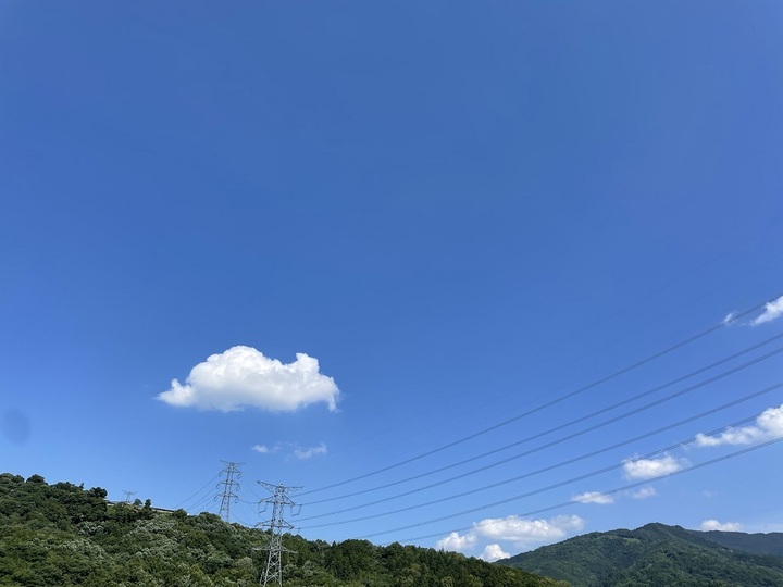生産者のこだわり
