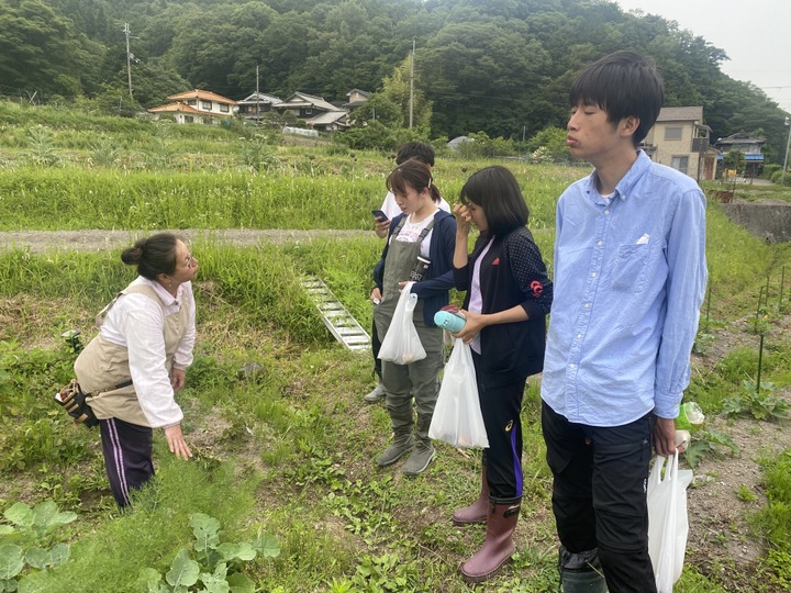 生産者のこだわり