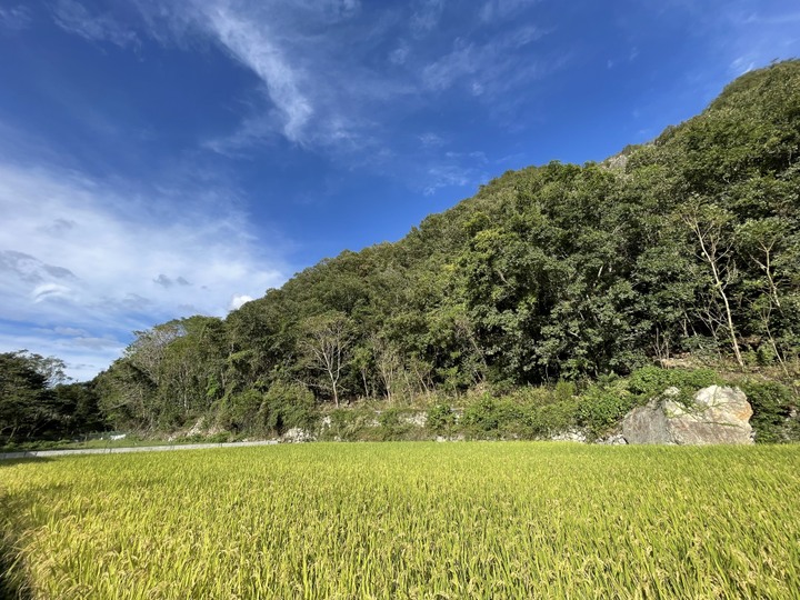 新米【令和６年産:一等米】＊きぬむすめ白米＊10Kg＊：岡山県産のお米｜食べチョク｜産地直送(産直)お取り寄せ通販 - 農家・漁師から旬の食材を直送