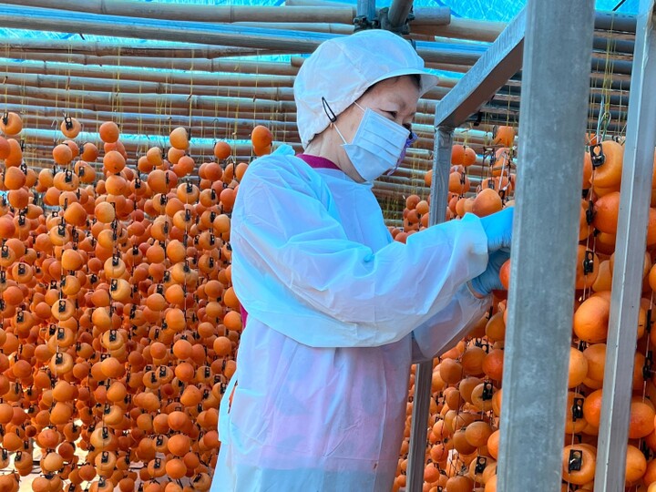 産直通販】等級《秀》のLまたは2Lサイズ！長野県飯田市直送「市田柿