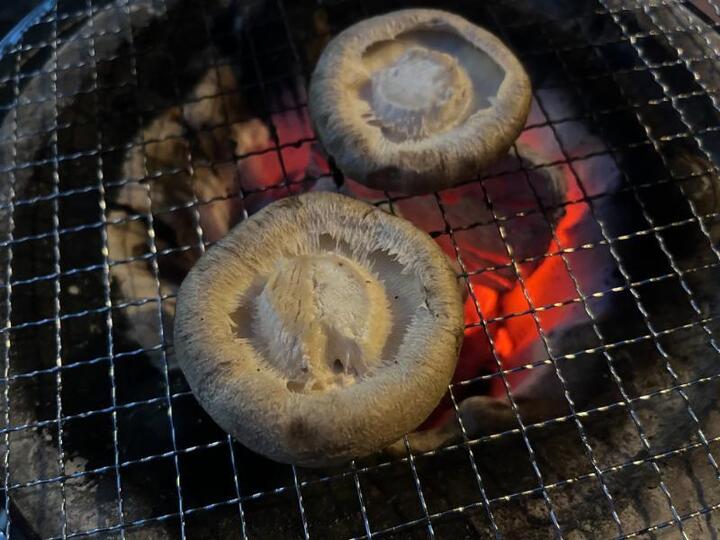 肉厚ボリュームの菌床生しいたけ１㎏！ 橋本ふるさと便 期間限定！：和歌山県産の野菜｜食べチョク｜産地直送(産直)お取り寄せ通販 -  農家・漁師から旬の食材を直送