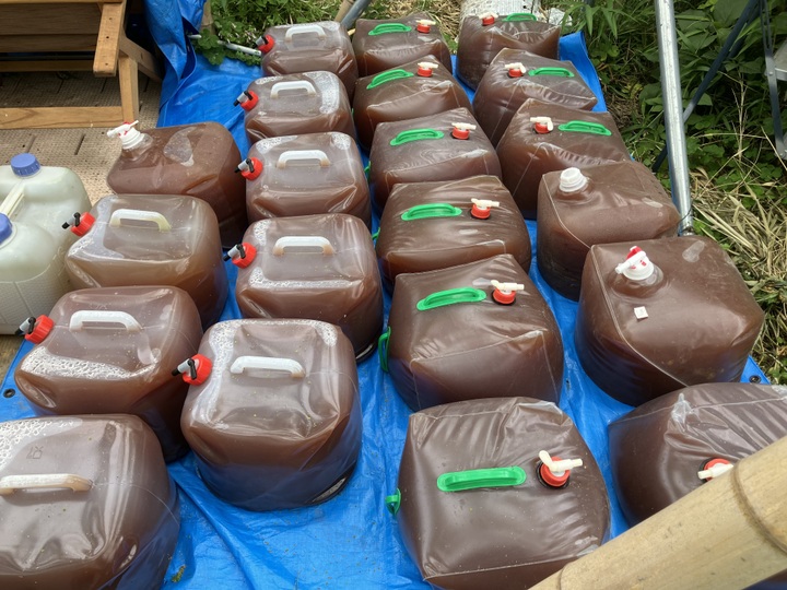 ゆきち　準自然米　福岡県産「元気つくし」令和５年産　玄米20kg やんゆき様専用 福岡県産「元気つくし」令和5年産 玄米20kg