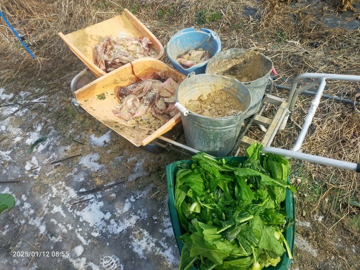 生産者のこだわり