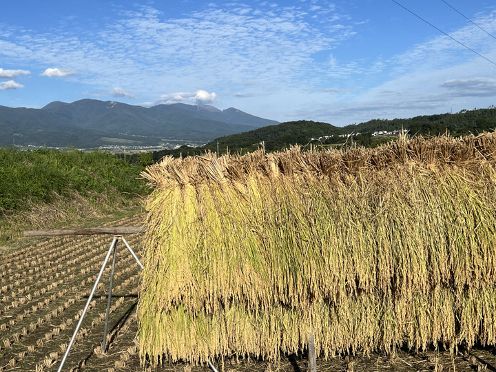 冷めても美味しい『ハゼかけ天日干し米』5kg：長野県産のコシヒカリ