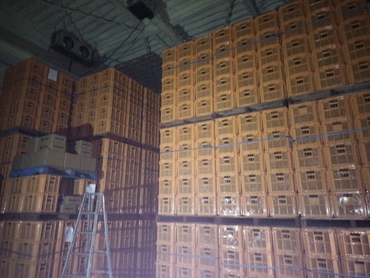 生産者のこだわり