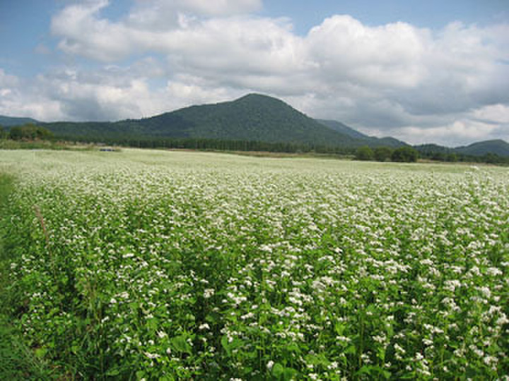 生産地は日本各地の安心安全な本物の蜂蜜