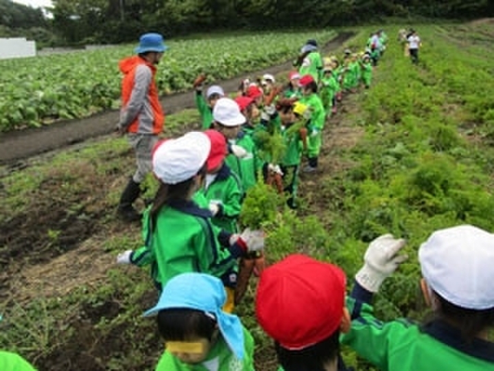 南風農園 〜since2006〜 へのレビュー・商品：青森県｜食べチョク｜産地直送(産直)お取り寄せ通販 - 農家・漁師から旬の食材を直送