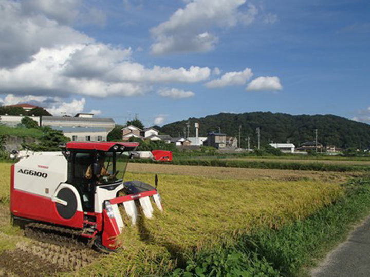 新米】令和5年産 愛知県産音羽米 有機ＪＡＳ玄米10㎏(5kg×2