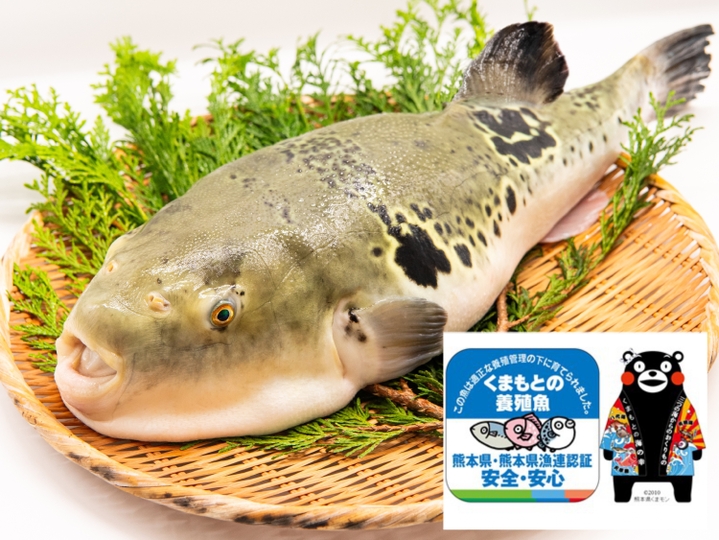 生産者のこだわり