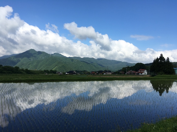 生産者のこだわり