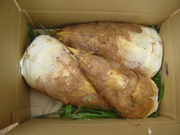 生産者のこだわり