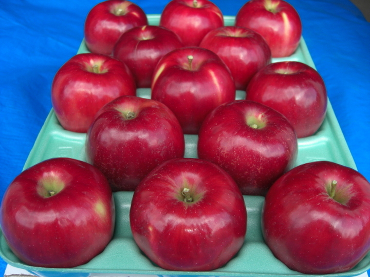 昔懐かしの紅玉