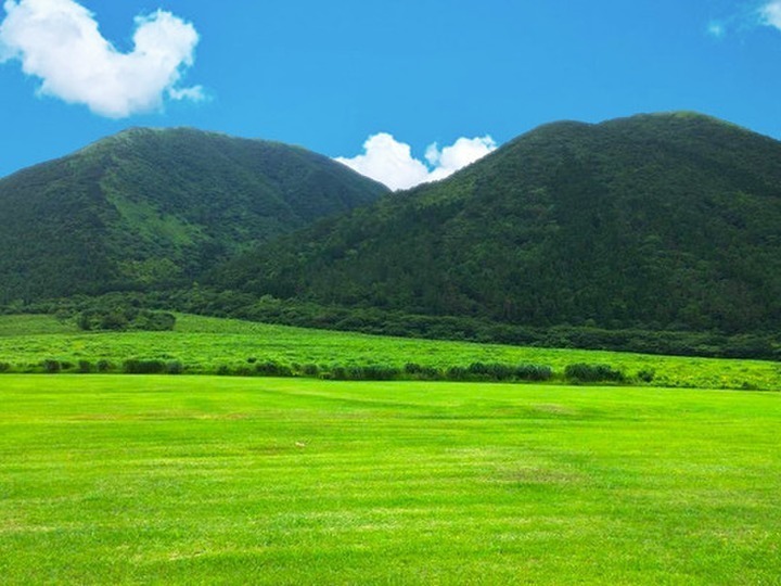 生にんにく】2022年収穫☆国産☆農薬不使用☆｜1kg(小さめ）：島根県産のにんにく｜食べチョク｜産地直送(産直)お取り寄せ通販 -  農家・漁師から旬の食材を直送