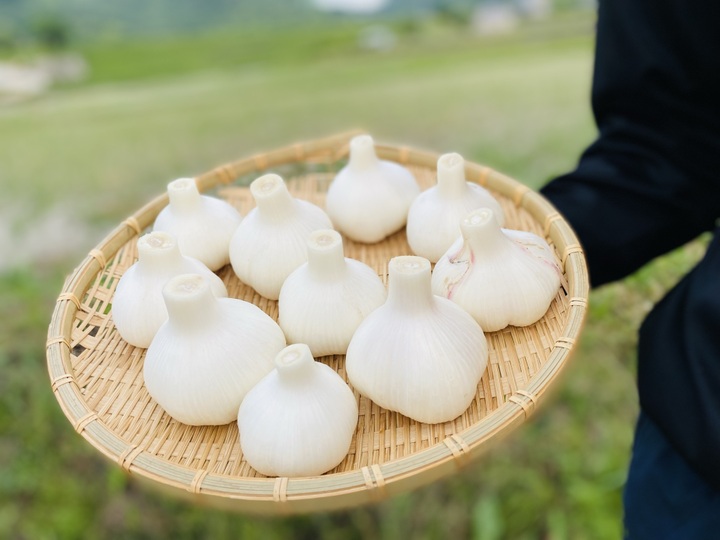 無くなり次第終了！】秋ブロッコリーsk9-099：香川県産のその他ブロッコリー｜食べチョク｜産地直送(産直)お取り寄せ通販 -  農家・漁師から旬の食材を直送