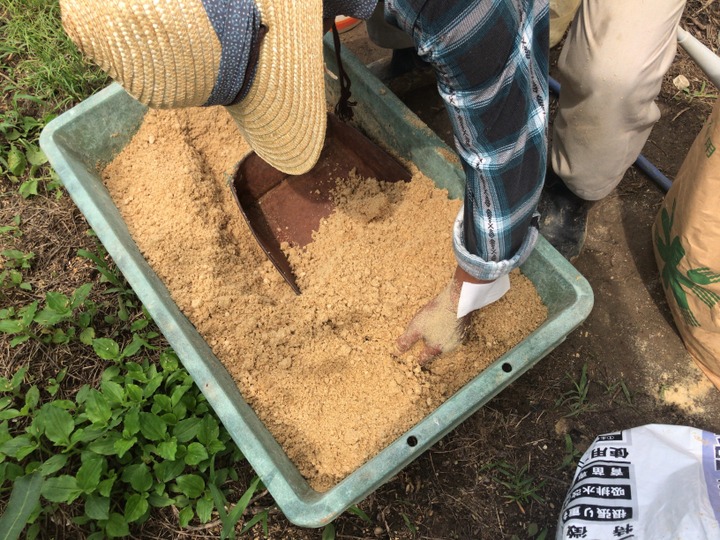 ないとう農園へのレビュー 商品 静岡県 食べチョク 産地直送 産直 お取り寄せ通販 農家 漁師から旬の食材を直送