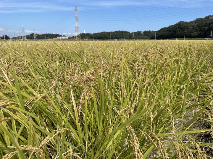 生産者のこだわり