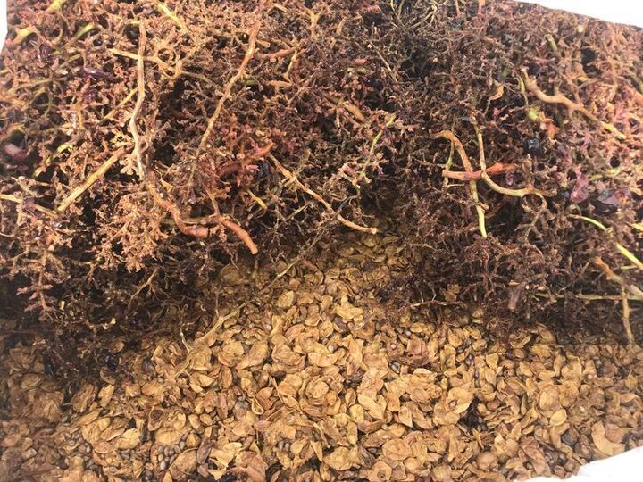 環境に配慮し、美味しいものを作り続けられる農業を